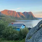 Seiland Island Bluedream
