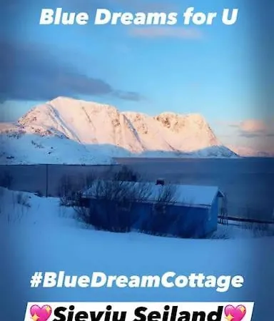 Blue Dream On Seiland Island Skakkebakken