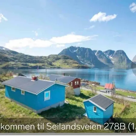 Seiland Island Bluedream