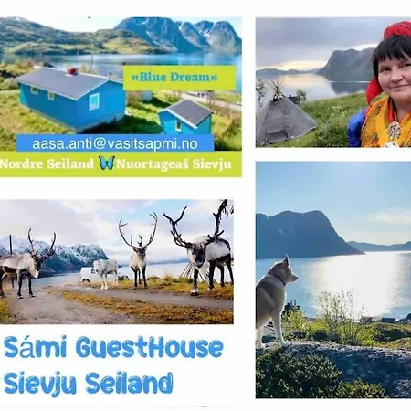 Seiland Island Bluedream Skakkebakken