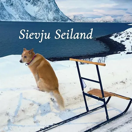 Seiland Island Bluedream Holidayhome Skakkebakken