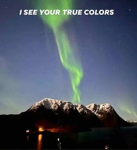 Nyaraló Seiland Bluedream Skakkebakken