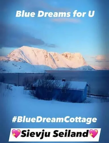 Seiland Bluedream Skakkebakken