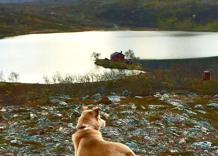 Hébergement de vacances Seiland Bluedream Skakkebakken