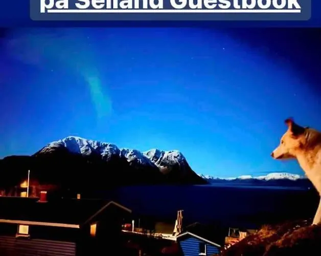 Tatil Evi Seiland Bluedream Skakkebakken