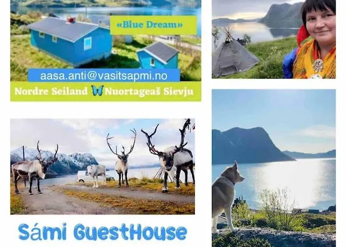 Seiland Bluedream Skakkebakken